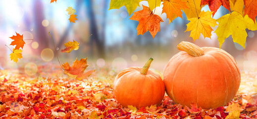 Naklejka na ściany i meble Thanksgiving pumpkins on autumn leaves background