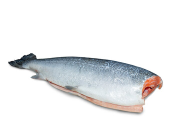 salmon fish on white background it are RAW food
