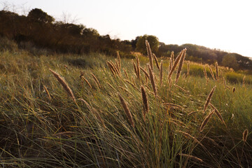 Sonnenuntergang in Travem&uuml;nde