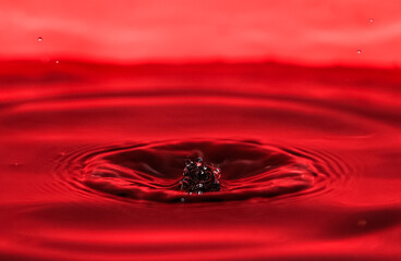 Naklejka na ściany i meble red water drop