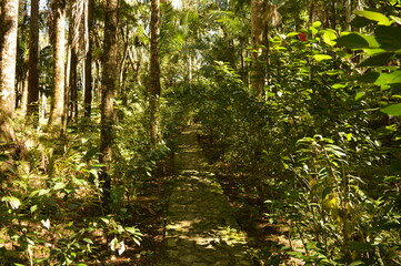 The nature, town life and graffiti street art around Puerto Plata in the Dominican Republic in the Caribbean