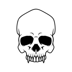 Illustration of vampire halloween skull. Design element for poster,card, banner, sign, emblem. Vector illustration