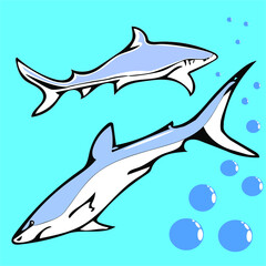 Sharks in the ocean for a walk vector drawing for creating a background, texture, desktop, wallpaper