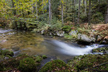 Ruisseau des Vosges en automne