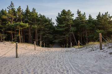 Fototapeta Wydmy, Las, Morze bałtyckie, Słowiński park narodowy obraz