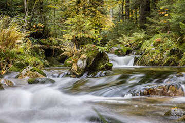 Ruisseau des Vosges en automne