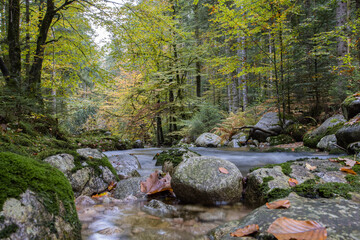 Obraz premium Ruisseau des Vosges en automne