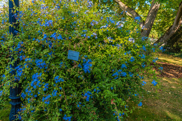 Botanischer Garten zu K&ouml;ln am Rhein