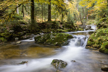 Fototapeta na wymiar Ruisseau des Vosges en automne