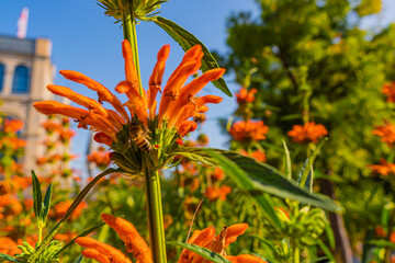 Botanischer Garten zu K&ouml;ln am Rhein