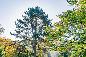 Botanischer Garten zu K&ouml;ln am Rhein
