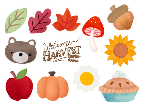 Cute illustration bear pumpkin dessert mushroom with leaves foliage fall autumn season cozy doodle Isolated elements