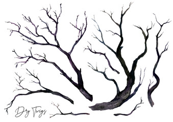 Watercolor Collection of Dry Black Twigs - 385960150