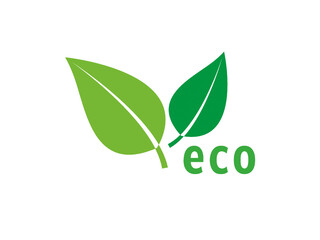 Grüne Blätter mit ECO Text isoliert auf weißen Hintergrund Vektor
