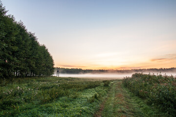 morning fog in the field