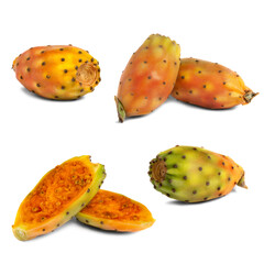 Indian fig opuntia, prickly, on white background