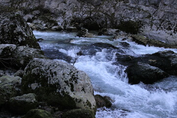 Fototapeta premium water flowing over rocks