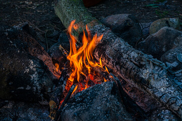 Flames of a bonfire in the forest in nature, photo of camping