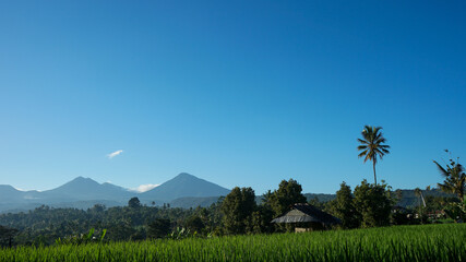 Fototapeta premium landscape with mountains