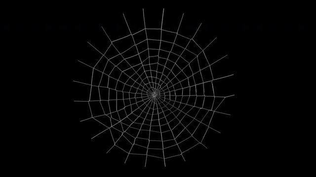 spider web animation with alpha channel