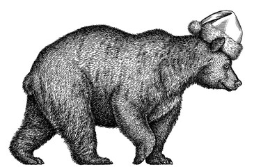 black and white linear paint draw bear illustration