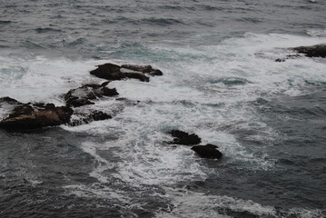 The ocean and the beach near the Wollongong 