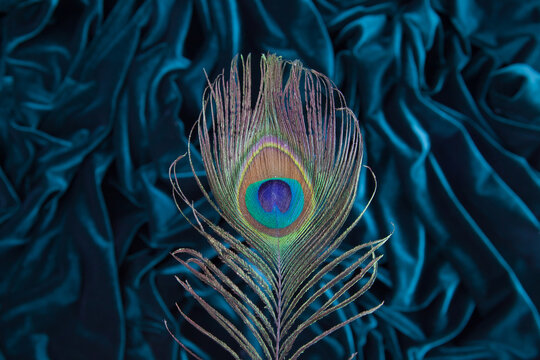 beautiful orginal background with peacock feather on velvet fabric