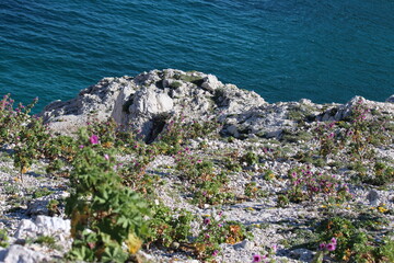 calanques roche nature