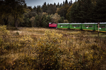 Naklejka na ściany i meble Retro Train Journey Trough Bieszczady Mountains in Poland. Autum Season. Moody and Toned Image