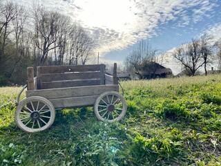 Fototapeta na wymiar old carriage in the field