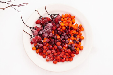 Rowan,viburnum, cranberry and sea buckthorn berries on a white plate standing on the snow.Winter concept.Natural vitamins.Top view