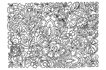 coloring book antistress, for adults, for children, black and white ornament of flowers and berries, hand-drawn paisley, ethnic motives. Vector illustration