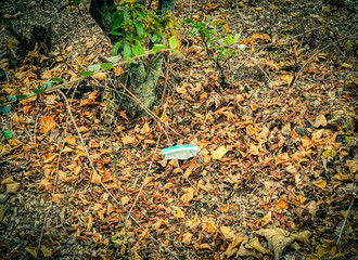 fish on the ground