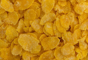 Very close view of dry toasted corn cereal.