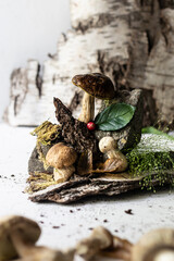 Forest mushrooms in the composition