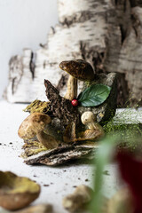 Forest mushrooms in the composition