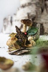 Forest mushrooms in the composition