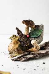 Forest mushrooms in the composition