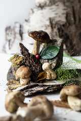Forest mushrooms in the composition