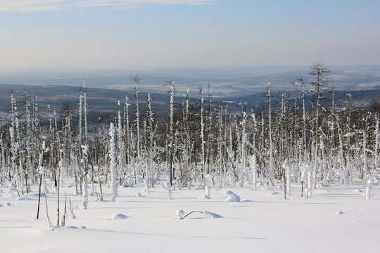 Settlement Tura, Evenkia, Russia. Snow-covered forest tundra in Northern Siberia
Evenkia is a special picturesque region in the Far North. Being part of the Krasnoyarsk Territory and being located in 