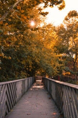 Fototapeta na wymiar Sun flare popping through fall foliage trees over a long wooden boardwalk. Madam Brett Park, Beacon New York 