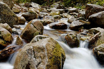 Naklejka na ściany i meble Water flowing in rocks in wild mountains river. Waksmundzki stream raging in High Tatras Mountains in Poland.