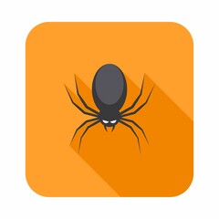 Halloween spider icon with glowing eyes, Halloween holiday.