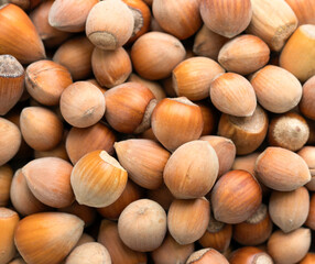 Heap of hazelnuts in a bowl, macro