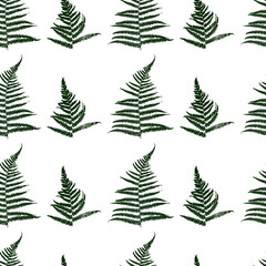 Seamless pattern with fern leaves isolated on white - natural background for textile design