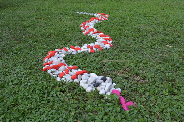 Serpente di sassi nel prato