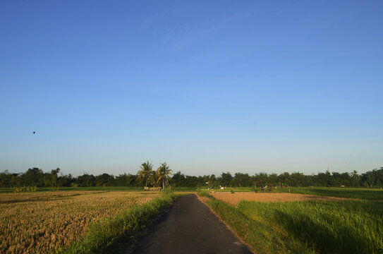 road in the countryside © NANTURAL
