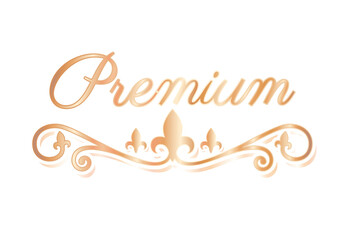 premium with divider ornament gold vector design