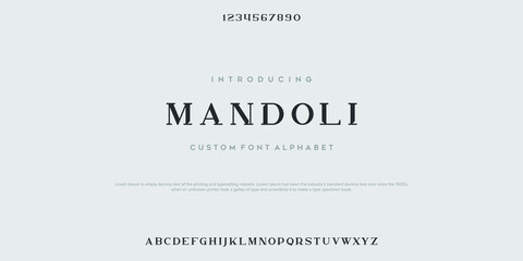 Serif classic design font vector illustration of alphabet letters.