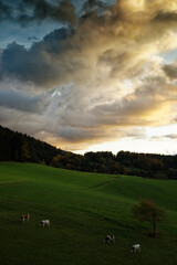 Paysages de Villard De Lans en automne avec les premières neiges et les couleurs d'automne